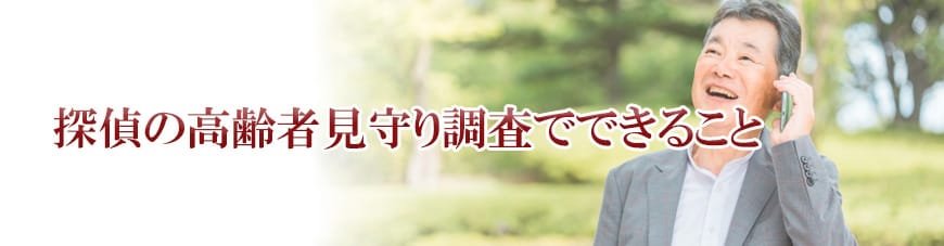 【岡崎市　探偵】高齢者見守り調査｜岡崎市で高齢者見守り調査で探偵をお探しならスマイルエージェント岡崎にお任せください。