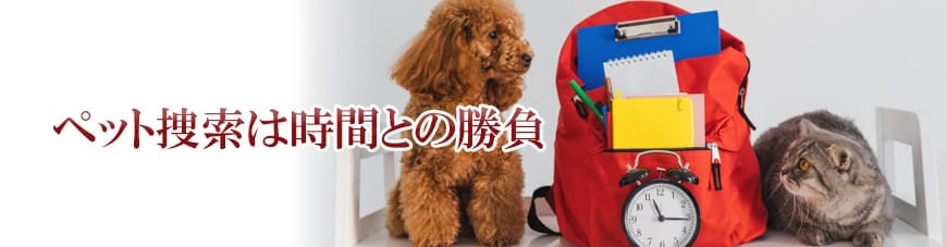 【岡崎市　探偵】子ども見守り調査｜岡崎市で子ども見守り調査で探偵をお探しならスマイルエージェント岡崎にお任せください。