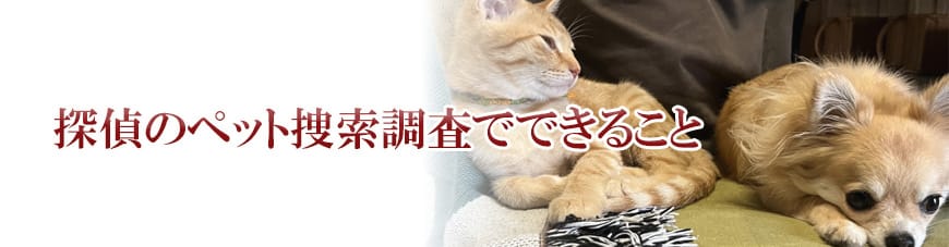 【岡崎市　探偵】子ども見守り調査｜岡崎市で子ども見守り調査で探偵をお探しならスマイルエージェント岡崎にお任せください。