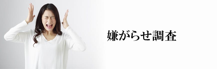 【岡崎市　探偵】素行調査｜岡崎市で素行調査で探偵をお探しならスマイルエージェント岡崎にお任せください。